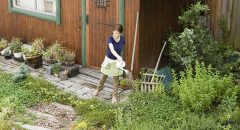 かわいいお庭を作りましょう、シニア（60代・70代）の本場イギリス風ガーデニングの始め方