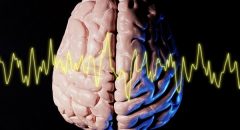 アルツハイマー型認知症予防に効果的なのは脳トレだけではない！